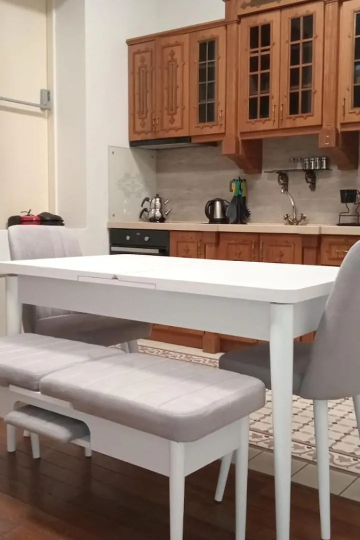 Aslan Residence Istanbul Turkey